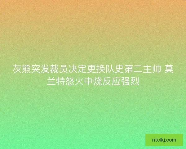 灰熊突发裁员决定更换队史第二主帅 莫兰特怒火中烧反应强烈