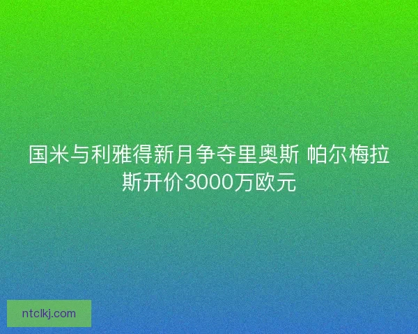 国米与利雅得新月争夺里奥斯 帕尔梅拉斯开价3000万欧元 国米与利雅得新月争夺里奥斯 帕尔梅拉斯开价3000万欧元