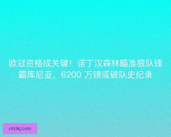 欧冠资格成关键！诺丁汉森林瞄准狼队锋霸库尼亚，6200 万镑或破队史纪录